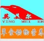 夏季牛快快长肉吃什么效果好