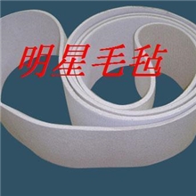 双面呢毯定型机套毯、呢毯带