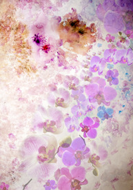 供应真丝数码印花时装面料