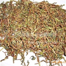 大量批发安溪铁观音茶梗1件起批产地直销茶又名茶枝