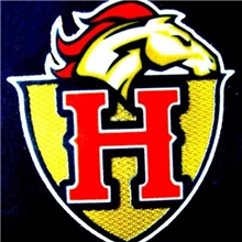 烫画、植绒3D植绒章、布底烫画