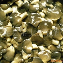 供应盐渍黑平菇(图)