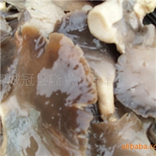 供应价格合理的淹制灰平菇