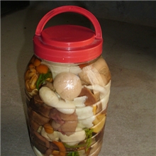 供应价格合理的清水什锦菇