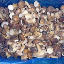 速冻美味牛肝菌2013新货