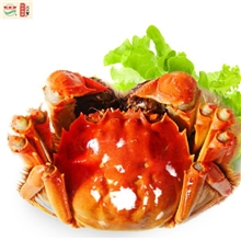 公螃蟹5-5.4两母3.5-3.9两10只节日礼品新品阳澄湖牌大闸蟹礼券