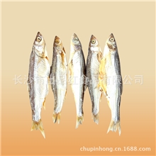 腊肉制品湘土地腊鱼条鱼正宗腊肉品质保证农家腊肉