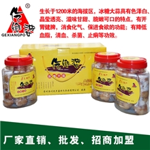 厂家供应塑料瓶装纯鲜蕌头2250g现货直销批发