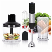 外贸出口HE-2012手持式搅拌机水果料理机榨汁机果汁机