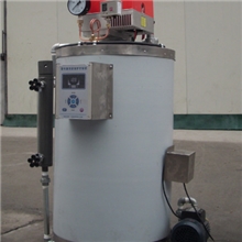 供应立式蒸汽锅炉/免检蒸汽锅炉/小型蒸汽锅炉