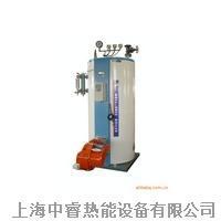 供应立式蒸汽锅炉燃油锅炉燃气锅炉蒸饭消毒柜专用蒸汽锅炉