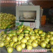 供应创丰蜜柚收缩包装机