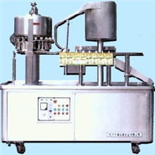 自立袋灌装封口机，自立袋灌装旋盖机（果冻果爽果汁