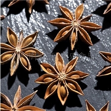 八角粉批发/调味香料/餐饮调料/香辛调味料/招广东调味品代理