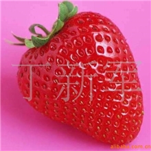 姜堰味香源香琦儿牌草莓香精食品香精白色粉末香精熟草莓味