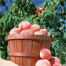 水蜜桃香精&mdash;&mdash;新鲜水蜜桃味