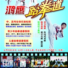 专业供应说明书印刷/传单印刷厂/海报/书刊画册/纸张印刷宣传单