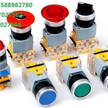 LA39-11D/S双位带灯钮