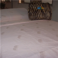 防螨枕头套洁尔爽抗菌防螨专家枕头质量保证