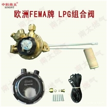 厂家批量供应LPG欧洲认证原装进口FEMA组合阀欢迎前来选购