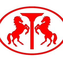 电动汽车厂家，电动汽车加盟代理，微型电动汽车