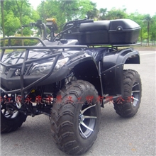 250cc轴传动大宝马沙滩车沙滩车摩托车ATV沙滩车批发龙鼎动力