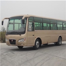 楚风牌HQG6920EA3客车|城市客车|9米2客车|400-007-2229