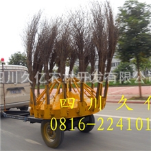 第八代郊外道路清扫车