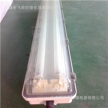 BYS系列防爆防腐全塑荧光灯(IIC)