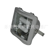 精品推荐【泛光灯通路灯】室外照明设备投光灯厂家直销新爆款