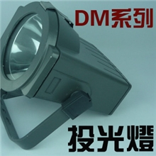 厂家直销LED泛光灯灯泡投光灯聚光灯射树灯