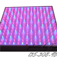 厂家直销高品质方形LED植物生长灯植物灯用于给植物补光R+B14W
