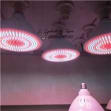 厂家直销LED猪肉灯生鲜灯18w用于肉脯肉档让肉类看上去更新鲜