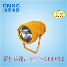 浙江供应〔BTC8200〕防爆投光灯〔防爆投光金卤灯〕