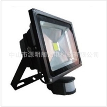 30WLED感应泛光灯景观灯LED投光灯室外灯人体感应灯