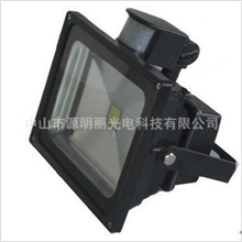 LED投光灯20WLED感应泛光灯LED景观灯人体感应灯