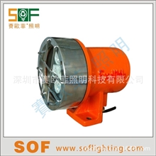 DGY18/48LX(A)矿用隔爆型LED机车照明信号灯