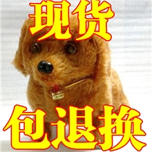 电动毛绒玩具批发前进狗倒退狗玩具多色可选地摊热销12