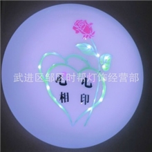 普通灯罩吸顶灯LED吸顶灯适合阳台过道厨卫等灯具