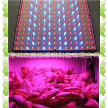 厂家大量低价供应优质大棚蔬果园专用LED植物生长灯LED生长灯