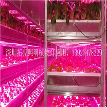 方形小功率14WLED植物灯