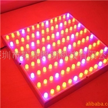 供应LED中功率植物生长灯45W方形植物补光灯