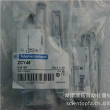 施耐德限位开关摆杆ZCY46
