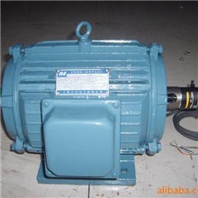 供应YVP112M-4三相异步电动机带编码器电机