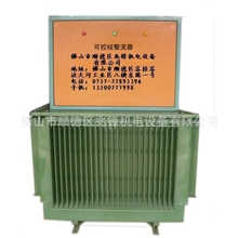 厂家直销可控硅整流器|硅整流