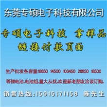 拿样专用付款链接锂电池厂家