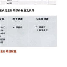 山东供应精密面板式/管道式/流量计