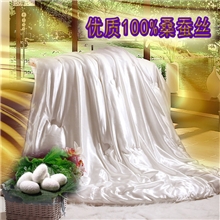 高档桑蚕丝被冰丝压花丝滑助眠纯手工100%蚕丝被冬被子批发代发