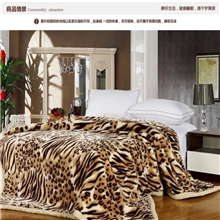 南通家纺顶级拉舍尔加厚双人毛毯腈纶毯正品冬毯批发