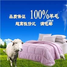 新品批发100%纯羊毛冬被单人双人羊毛秋冬被子被芯工厂直销代发